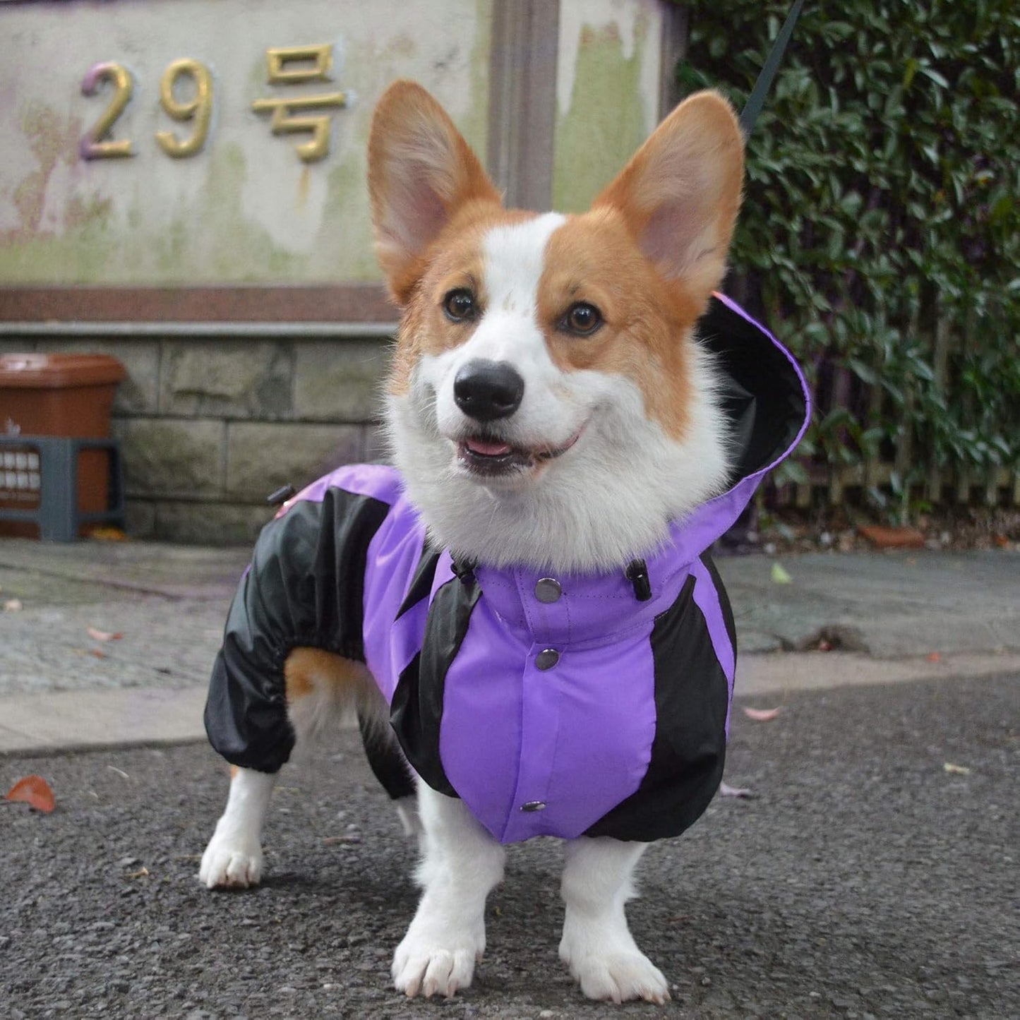 Dog Hooded Raincoat, Small Dog Rain Jacket Poncho Waterproof Clothes with Hood Breathable 4 Feet Four Legs Rain Coats for Small Medium Large Pet Dogs Purple L