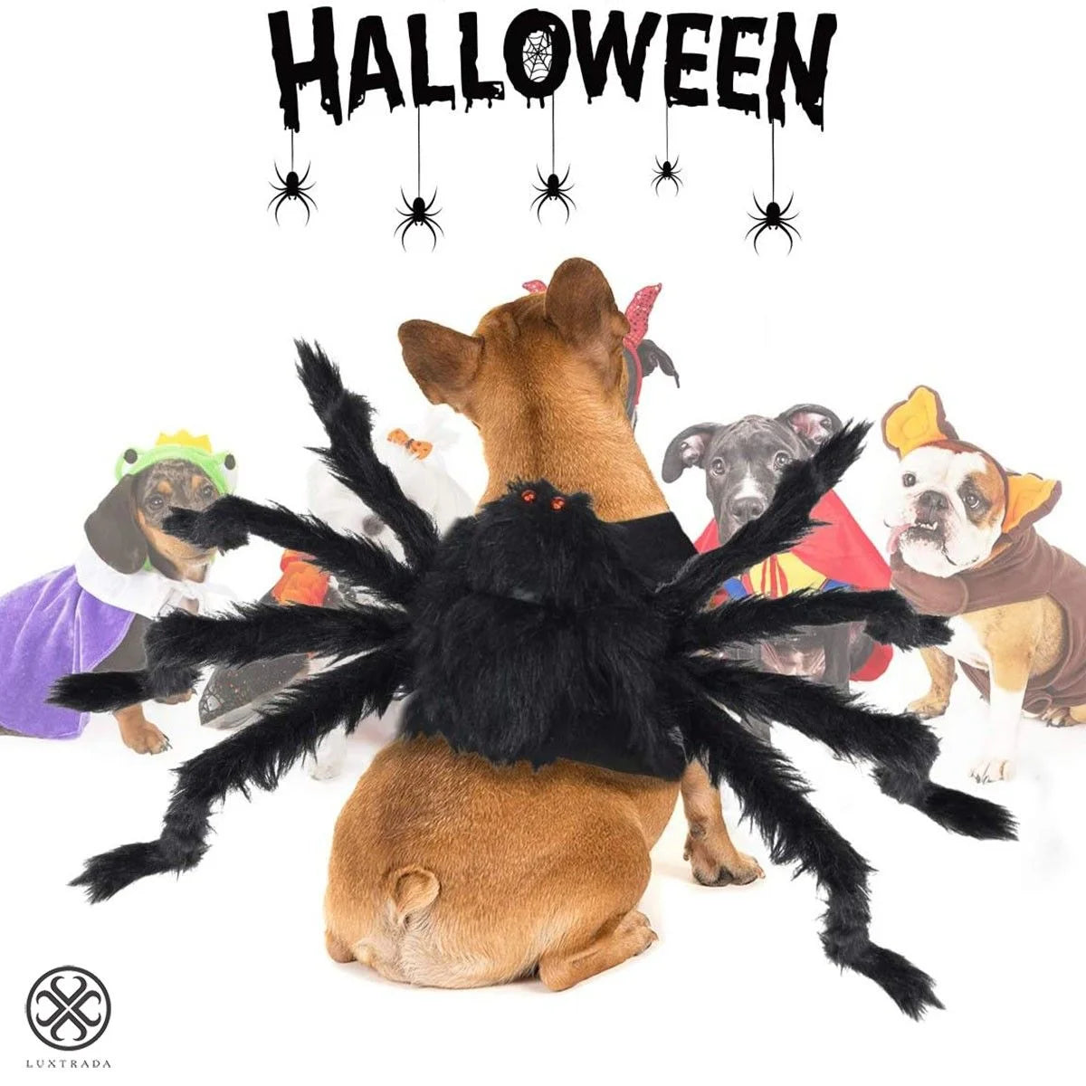 Halloween Dogs Cats Costume Furry Giant Simulation Spider Pets Outfits Cosplay Dress up Costume Halloween Pets Accessories Decoration for Dogs Puppy Cats