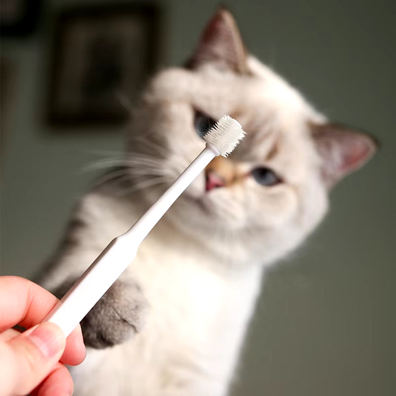 Cat Toothbrush Soft Hair Brush for Cats Mouth Cleaning Cat Brush for Teeth Cleaning Pet Grooming Cats Toothbrush Pet Products