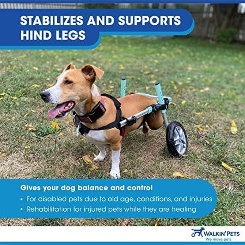 Dachshund Wheelchair - for Small Dogs 2-30+ Pounds - Veterinarian Approved - Dog Wheelchair for Back Legs