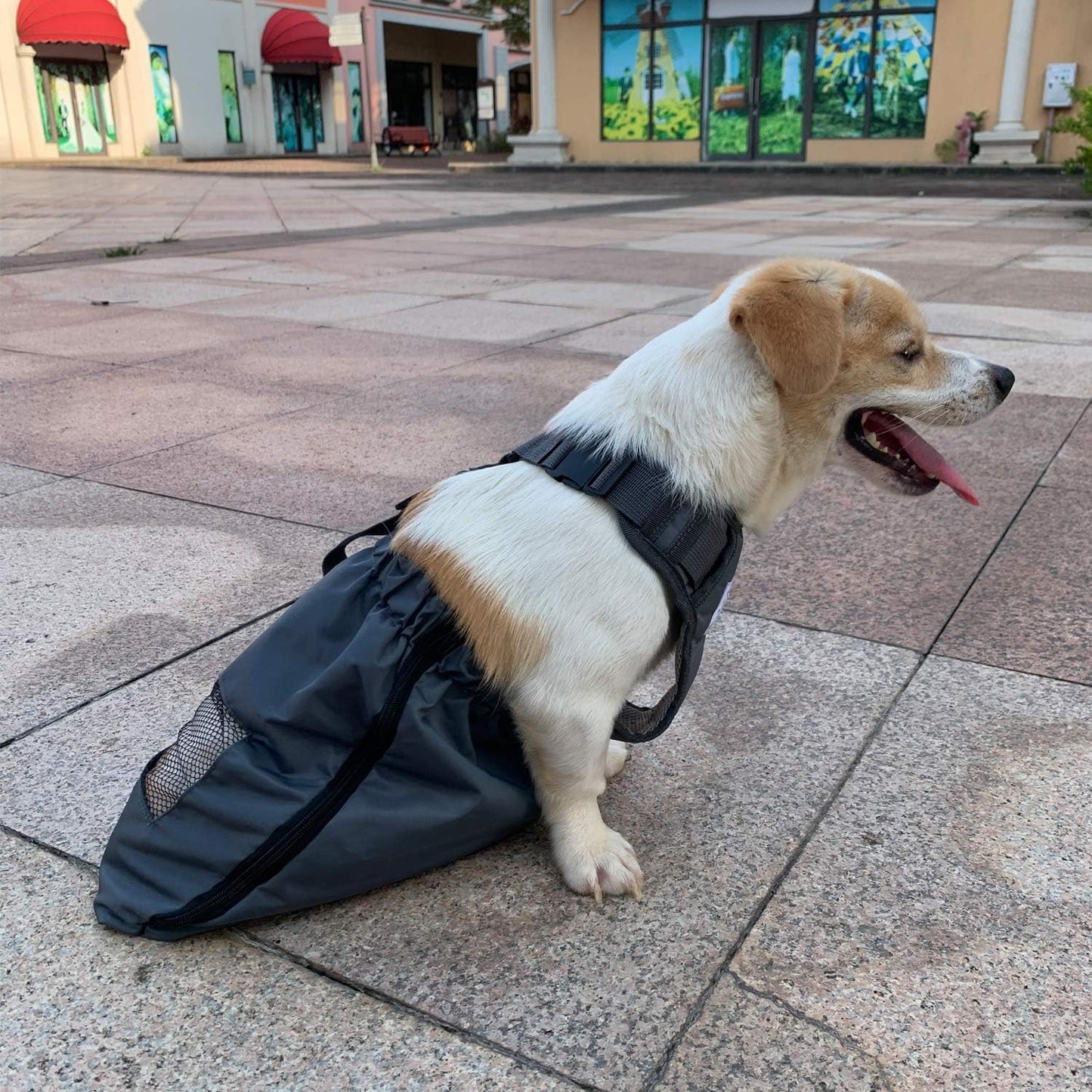 Dog Drag Bag Durable Indoor for Paralyzed Disabled Back Rear Legs Dog Protects Chest and Limbs (XS)…