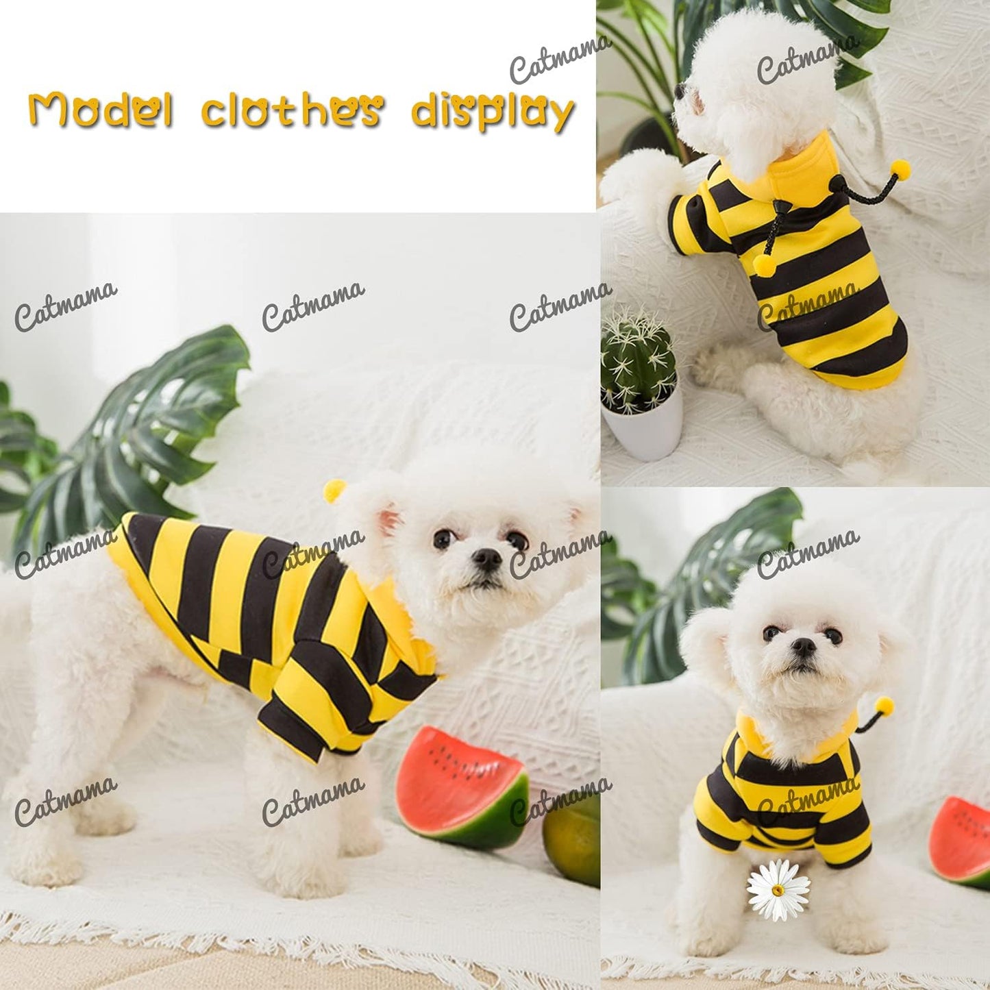 Pet Bee Costume Hooded for Small Dogs and Cats (Meddle)