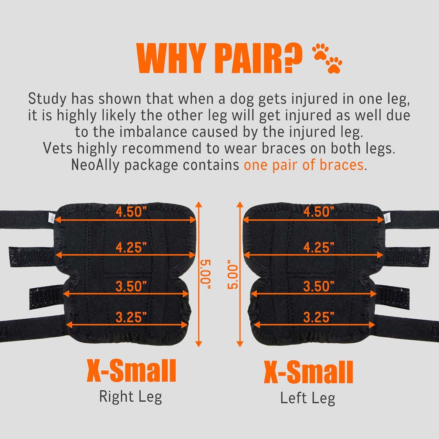 - Rear Leg Hock Brace with Metal Spring Strips, Dog Leg Brace for Rear Leg, Hock & Ankle Support, Rear Dog Leg Brace for Large Dogs, Long. (Both Legs, Extra Small)