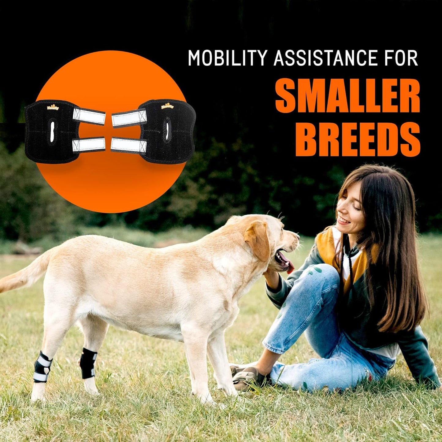 Rear Leg Hock Brace with Metal Spring Strips, Dog Leg Brace for Rear Leg, Hock and Ankle Support, Rear Dog Leg Brace for Smaller Dogs, Short Version, Xs, 1 Pair