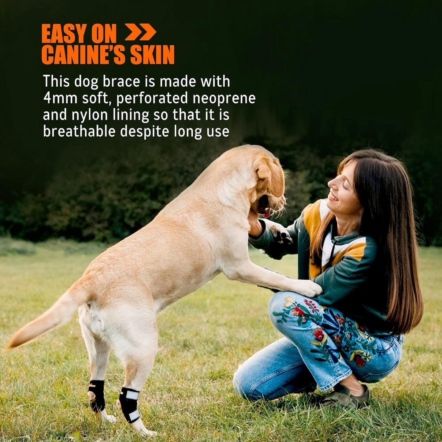 Rear Leg Hock Brace with Metal Spring Strips, Dog Leg Brace for Rear Leg, Hock and Ankle Support, Rear Dog Leg Brace for Smaller Dogs, Short Version, Xs, 1 Pair