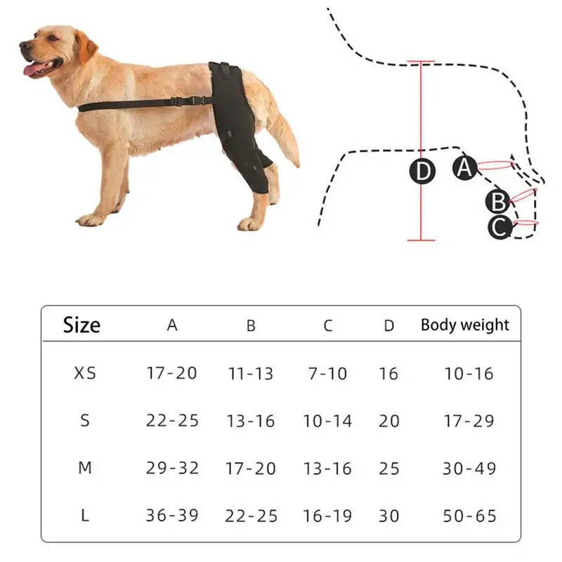 Dog Leg Support Brace for Injury Recover Hock Joint Wrap Breathable Dog Legs Protector Rear Leg Knee Brace Protect Wounds