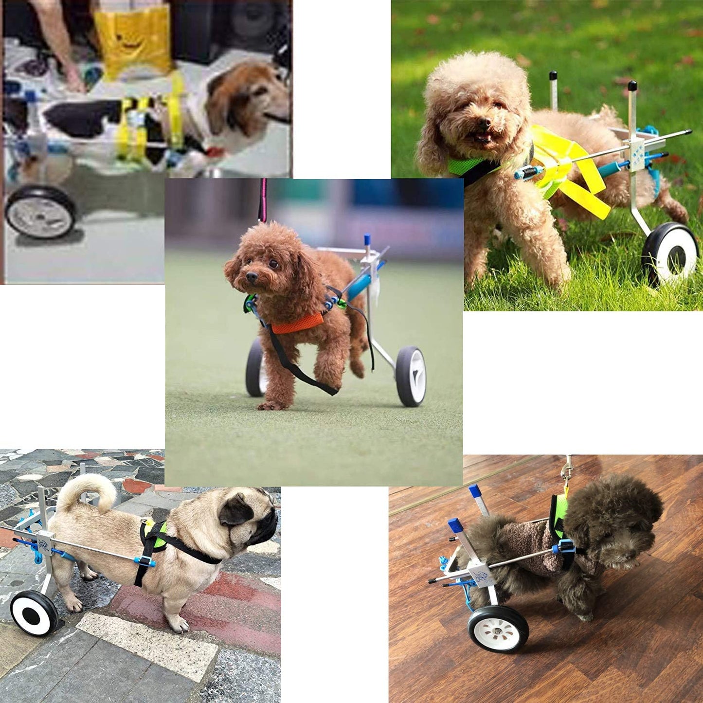 Heobam Pet Wheelchair for Handicapped Hind Legs Small Dog, Two Wheels Adjustable Dog Wheelchair, Cart, 7 Sizes for Hind Legs Rehabilitation (XXS)