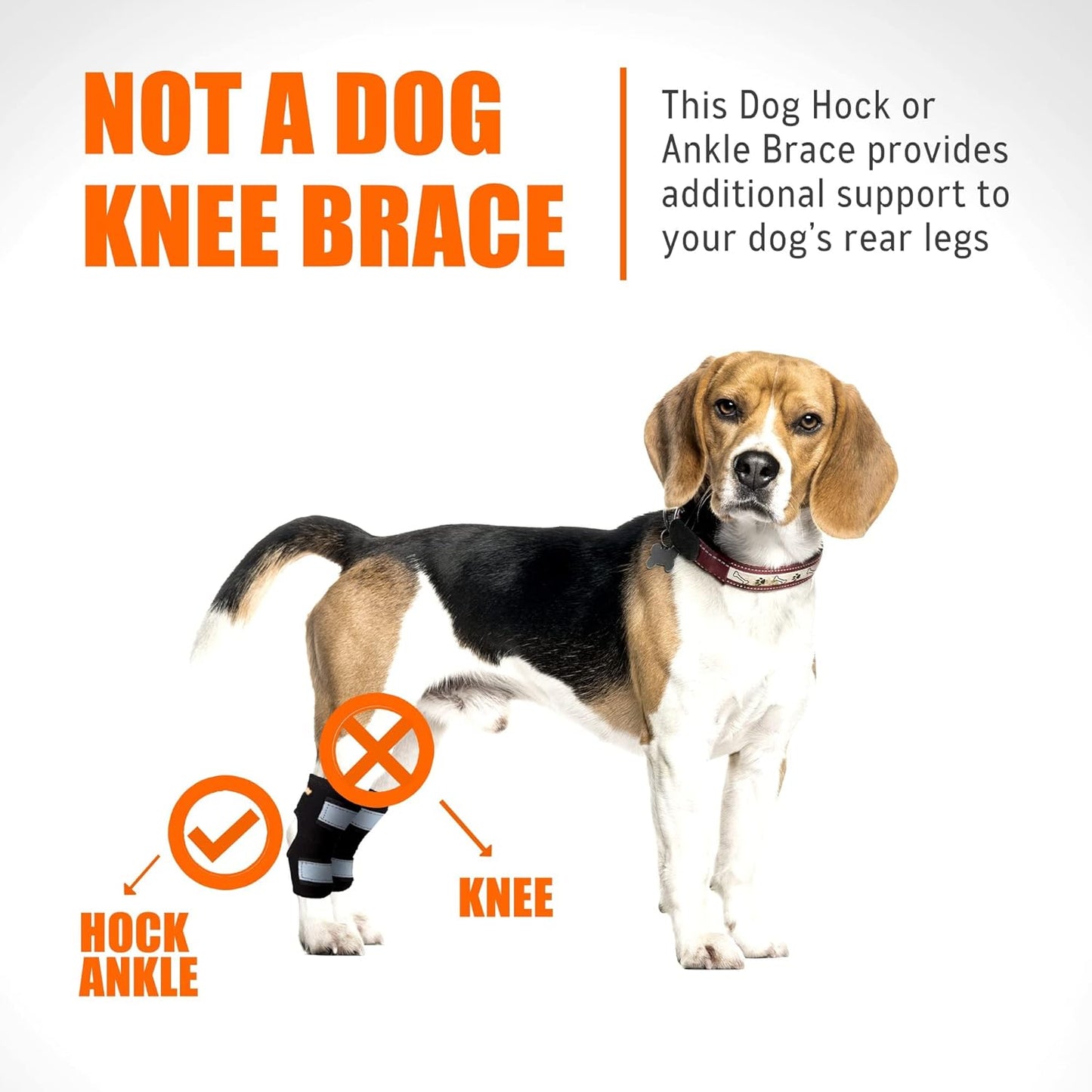 Rear Leg Hock Brace with Metal Spring Strips, Dog Leg Brace for Rear Leg, Hock and Ankle Support, Rear Dog Leg Brace for Smaller Dogs, Short Version, Xs, 1 Pair