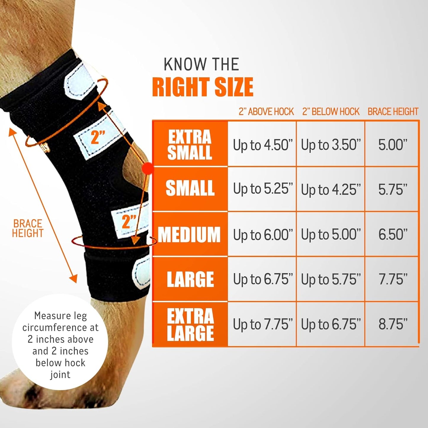 - Rear Leg Hock Brace with Metal Spring Strips, Dog Leg Brace for Rear Leg, Hock & Ankle Support, Rear Dog Leg Brace for Large Dogs, Long. (Both Legs, Extra Small)