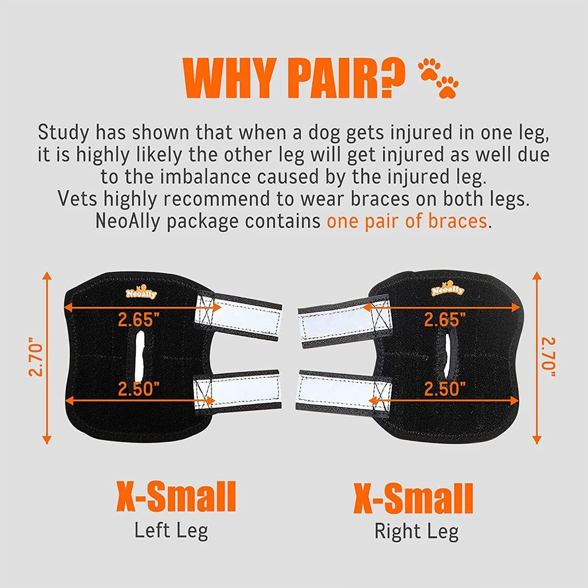 Rear Leg Hock Brace with Metal Spring Strips, Dog Leg Brace for Rear Leg, Hock and Ankle Support, Rear Dog Leg Brace for Smaller Dogs, Short Version, Xs, 1 Pair