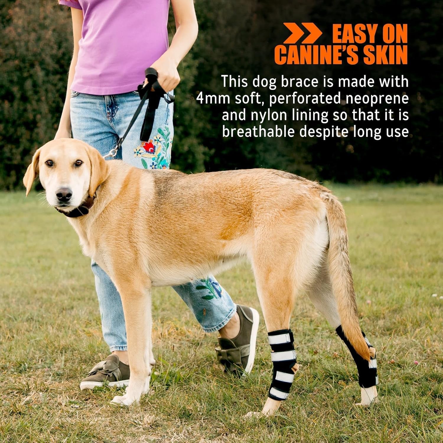 - Rear Leg Hock Brace with Metal Spring Strips, Dog Leg Brace for Rear Leg, Hock & Ankle Support, Rear Dog Leg Brace for Large Dogs, Long. (Both Legs, Extra Small)