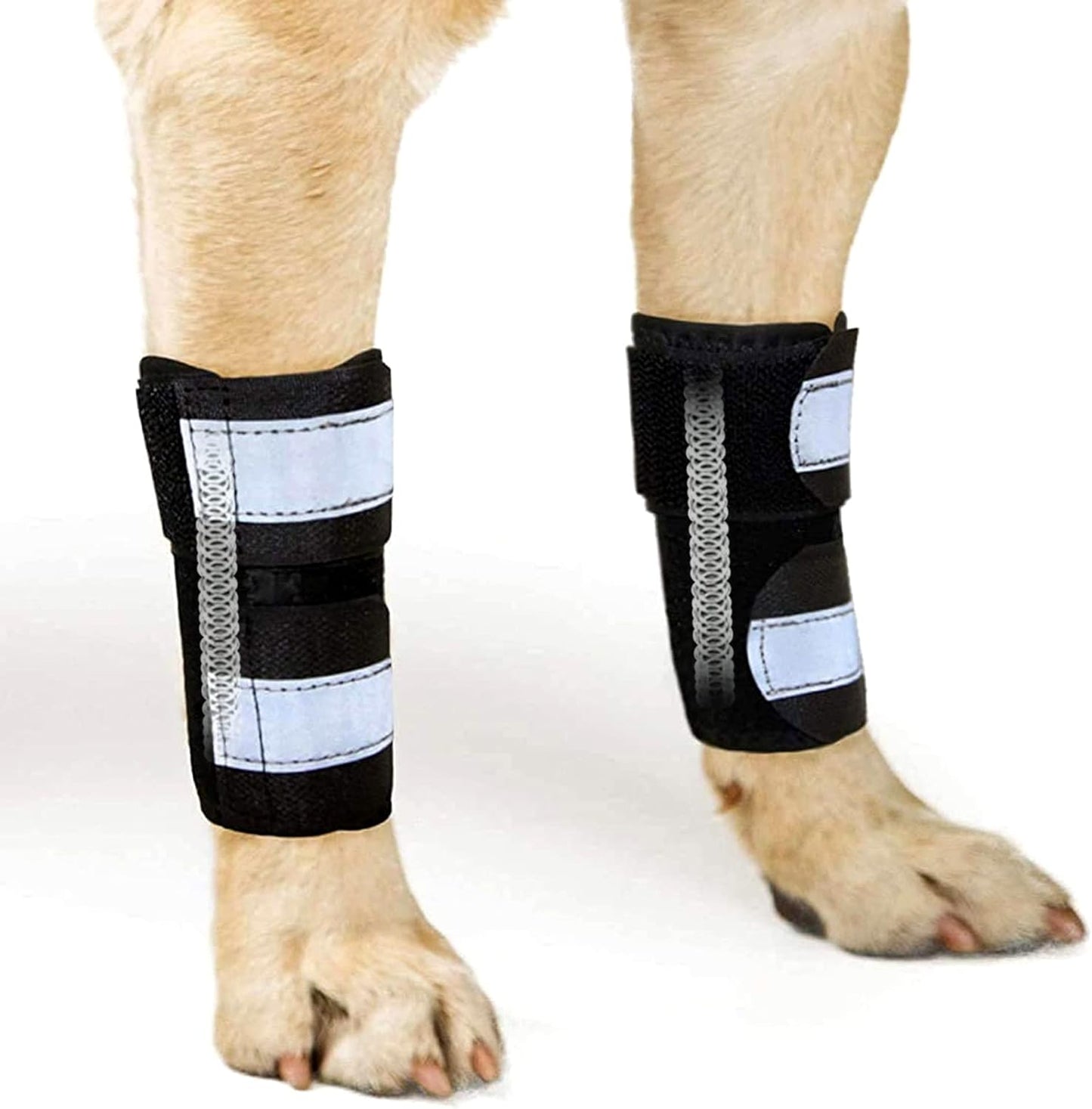 - Front Leg Brace for Dogs & Cats, Dog Leg Brace with Metal Spring Inserts, Dog Leg Sleeve for Carpal Support, Dog Leg Sleeve with Reflective Straps, S/M, Pair