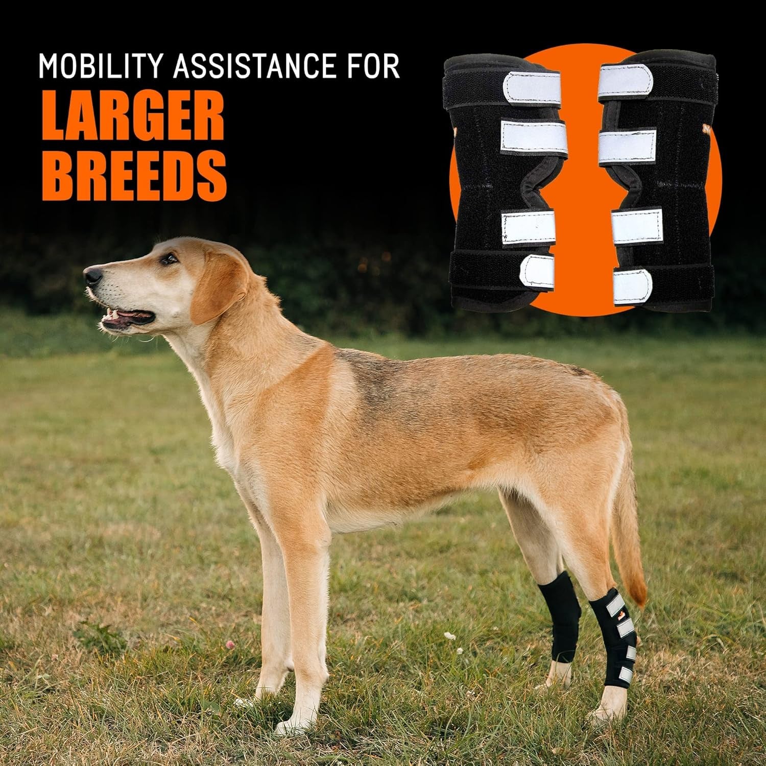 - Rear Leg Hock Brace with Metal Spring Strips, Dog Leg Brace for Rear Leg, Hock & Ankle Support, Rear Dog Leg Brace for Large Dogs, Long. (Both Legs, Extra Small)