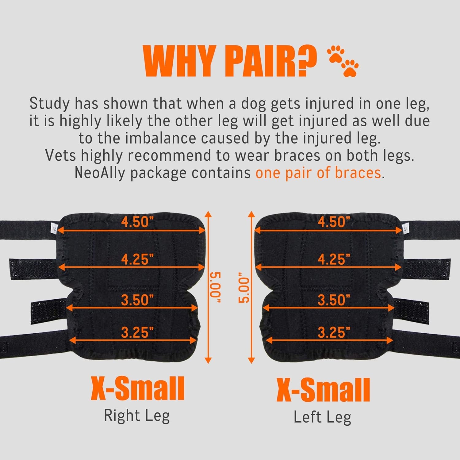 - Rear Leg Hock Brace with Metal Spring Strips, Dog Leg Brace for Rear Leg, Hock & Ankle Support, Rear Dog Leg Brace for Large Dogs, Long. (Both Legs, Extra Small)