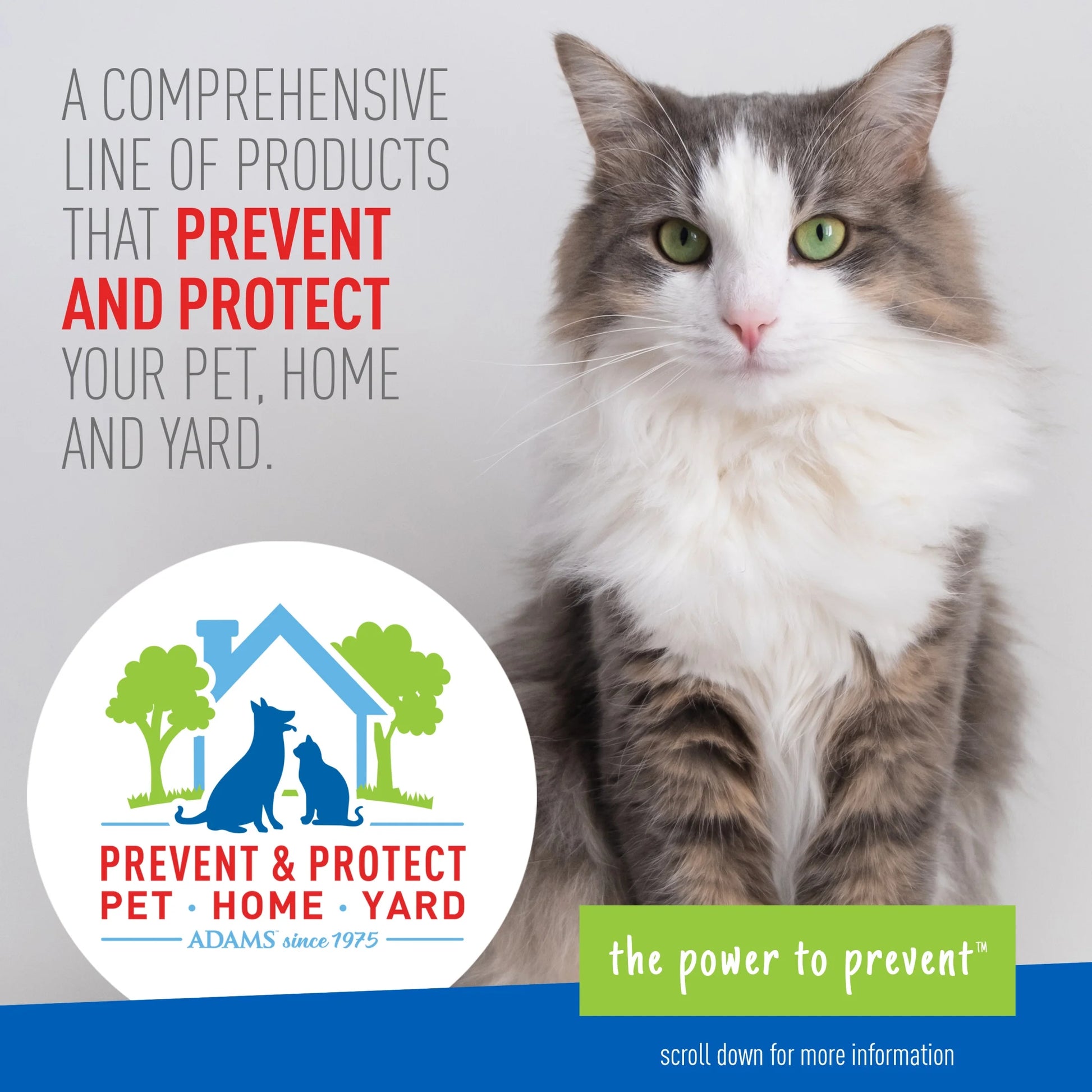 (4 Pack)  Flea & Tick Carpet & Home Spray for Houses with Cats and Dogs, 16 Ounce Can