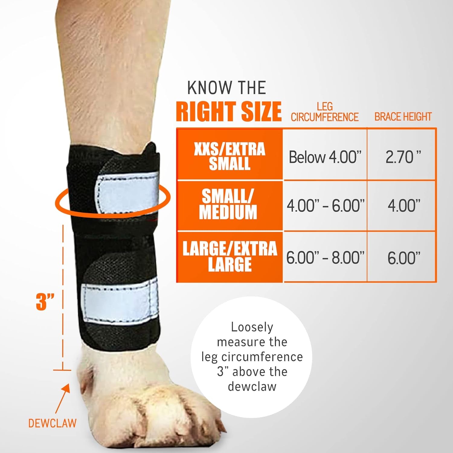 - Front Leg Brace for Dogs & Cats, Dog Leg Brace with Metal Spring Inserts, Dog Leg Sleeve for Carpal Support, Dog Leg Sleeve with Reflective Straps, S/M, Pair