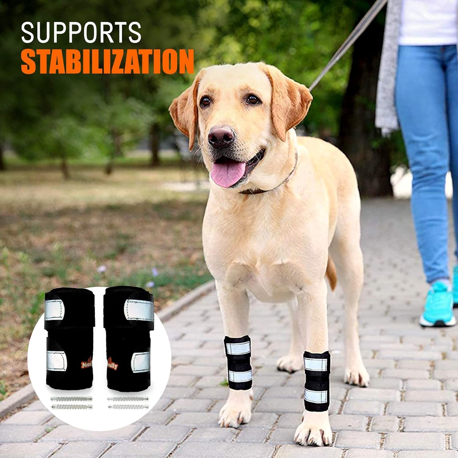 - Front Leg Brace for Dogs & Cats, Dog Leg Brace with Metal Spring Inserts, Dog Leg Sleeve for Carpal Support, Dog Leg Sleeve with Reflective Straps, S/M, Pair