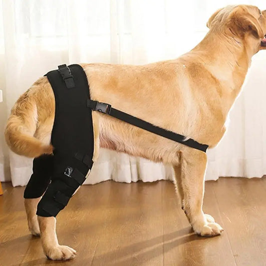 Dog Leg Support Brace for Injury Recover Hock Joint Wrap Breathable Dog Legs Protector Rear Leg Knee Brace Protect Wounds