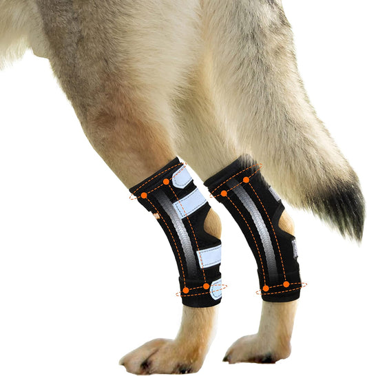 - Rear Leg Hock Brace with Metal Spring Strips, Dog Leg Brace for Rear Leg, Hock & Ankle Support, Rear Dog Leg Brace for Large Dogs, Long. (Both Legs, Extra Small)