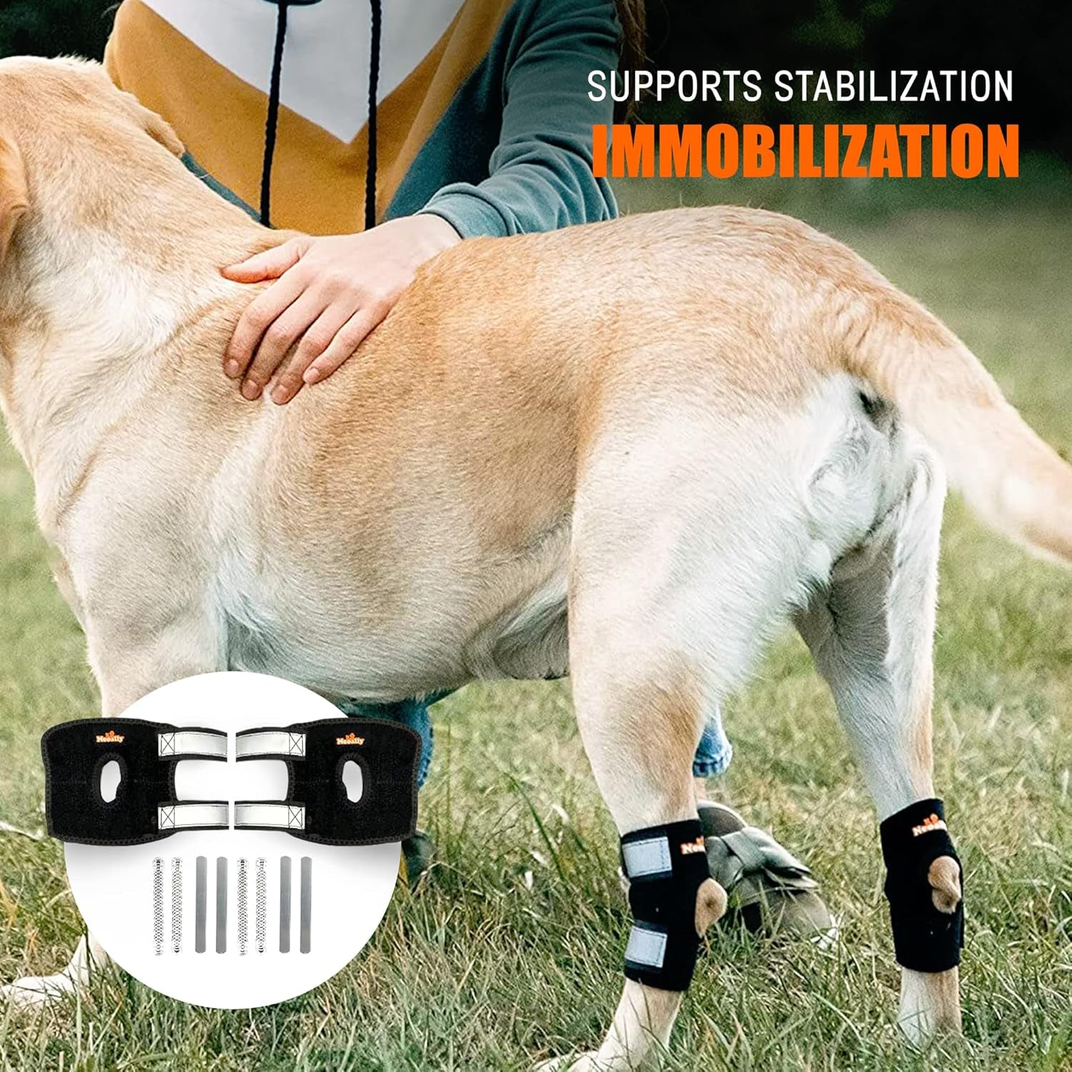 - 3-In-1 Short Rear Leg Hock Brace, Dog Leg Brace for Rear Leg with Rigid & Spring Inserts, Hock and Ankle Support, Dog Leg Sleeve with Reflective Straps, Small, 1 Pair