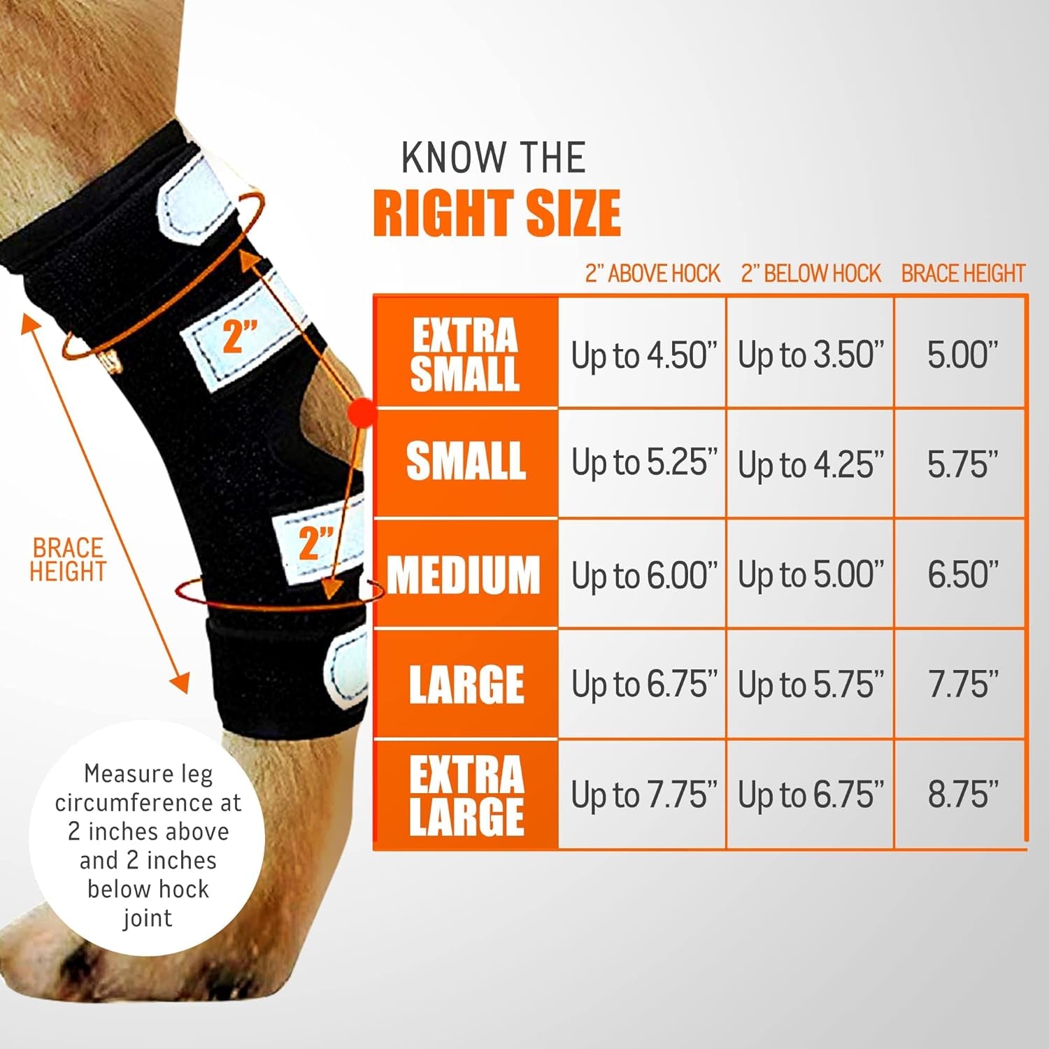 - Rear Leg Hock Brace with Metal Spring Strips, Dog Leg Brace for Rear Leg, Hock & Ankle Support, Rear Dog Leg Brace for Large Dogs, Long. (Both Legs, Extra Small)