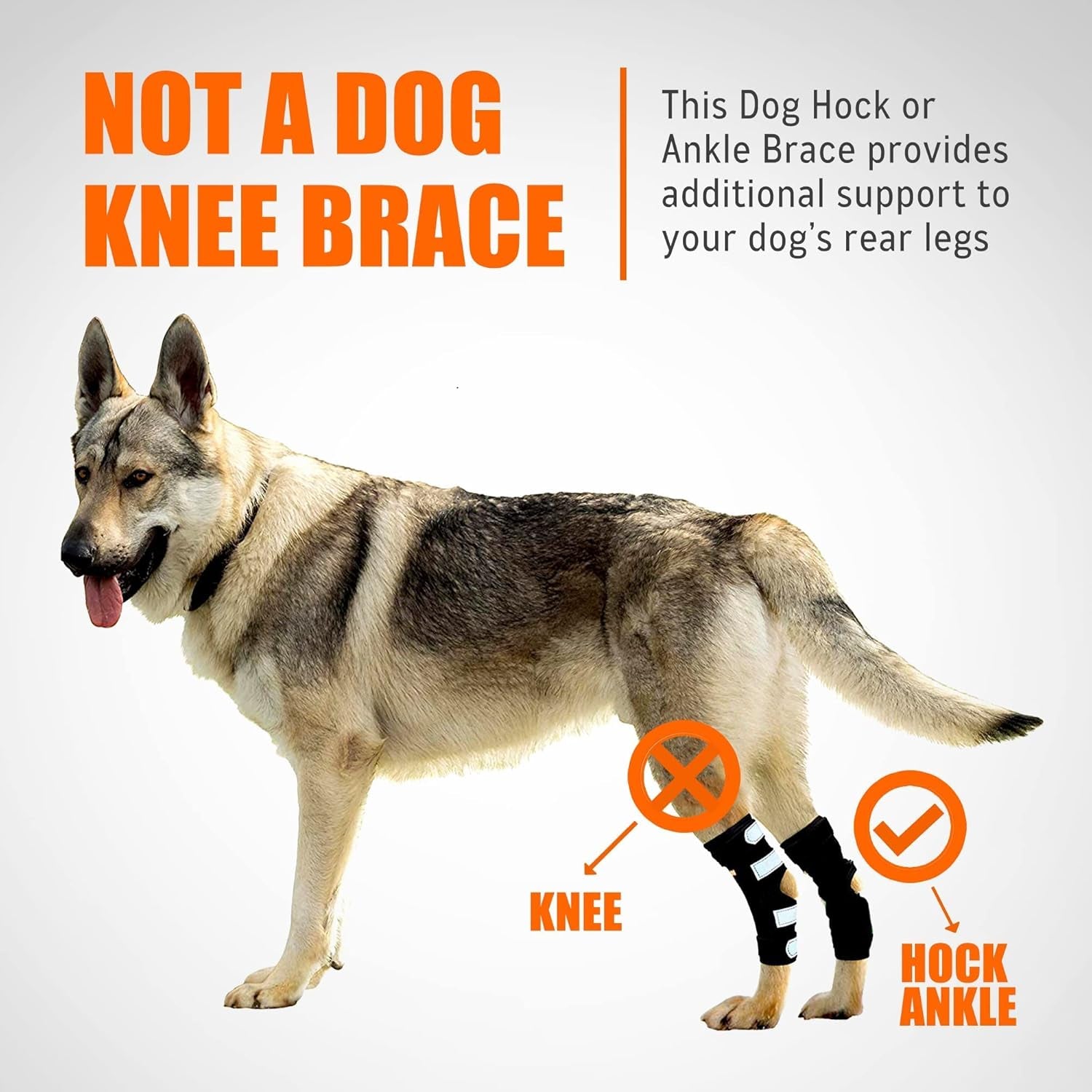 - Rear Leg Hock Brace with Metal Spring Strips, Dog Leg Brace for Rear Leg, Hock & Ankle Support, Rear Dog Leg Brace for Large Dogs, Long. (Both Legs, Extra Small)