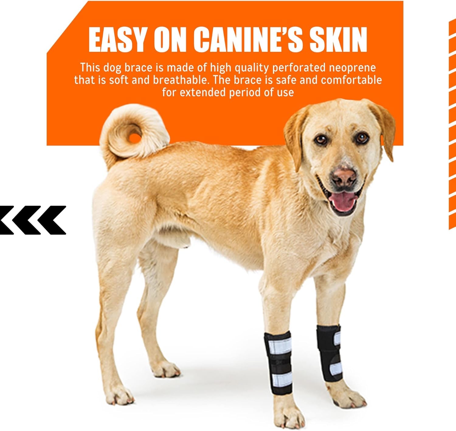 - Front Leg Brace for Dogs & Cats, Dog Leg Brace with Metal Spring Inserts, Dog Leg Sleeve for Carpal Support, Dog Leg Sleeve with Reflective Straps, S/M, Pair